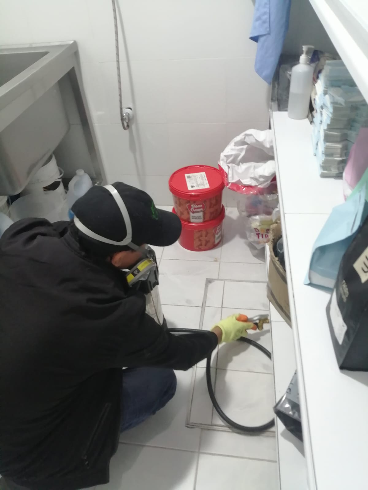 رش مبيد النمل الابيض بالدلم 0555636294