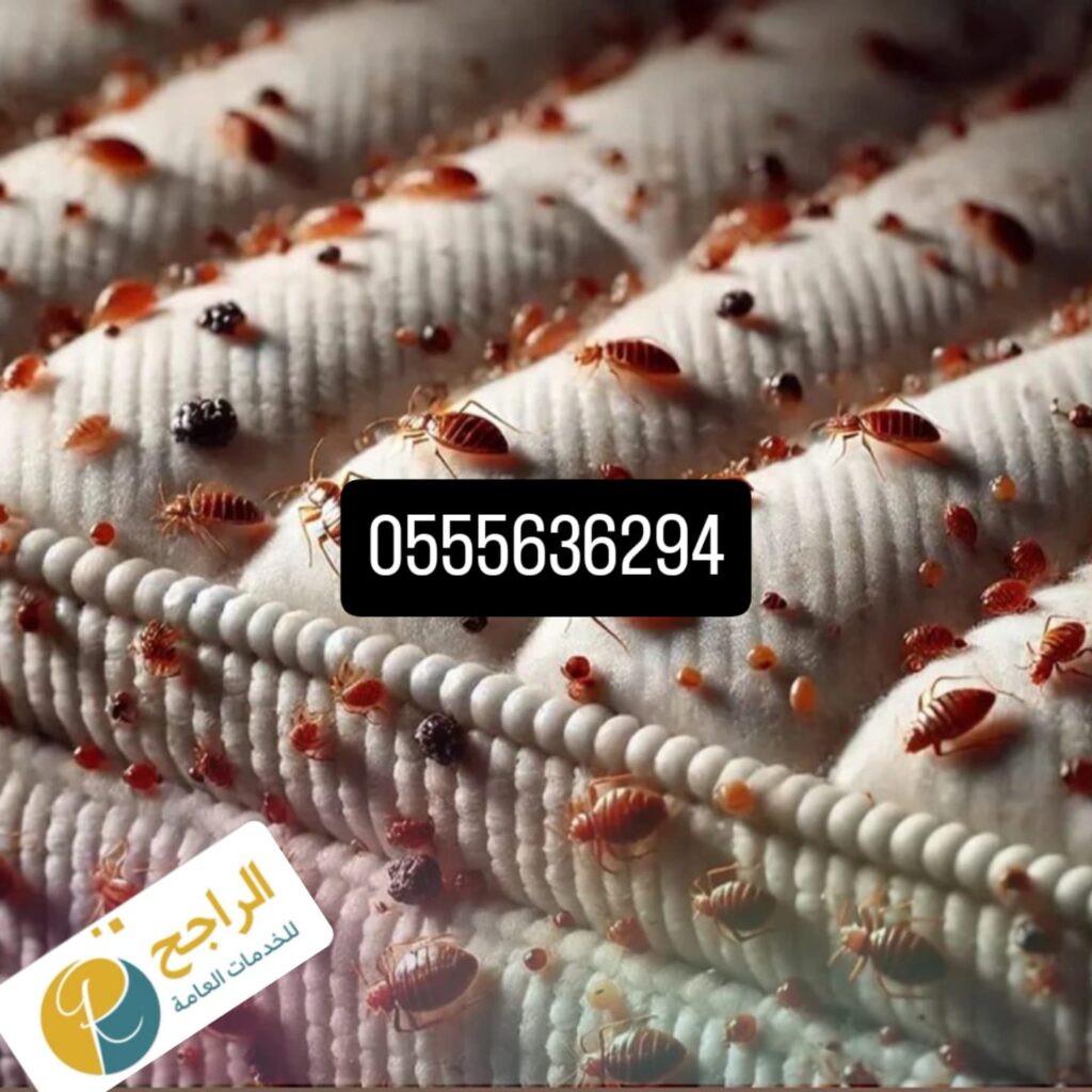 شركة مكافحة حشرات بالرياض الدرعية